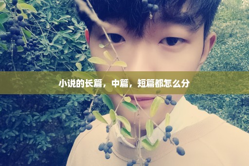 小说的长篇，中篇，短篇都怎么分