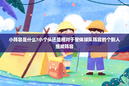 小阵容是什么?小个头还是相对于整体球队阵容的个别人组成阵容