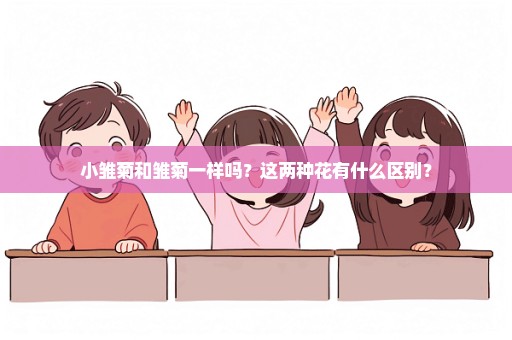 小雏菊和雏菊一样吗？这两种花有什么区别？