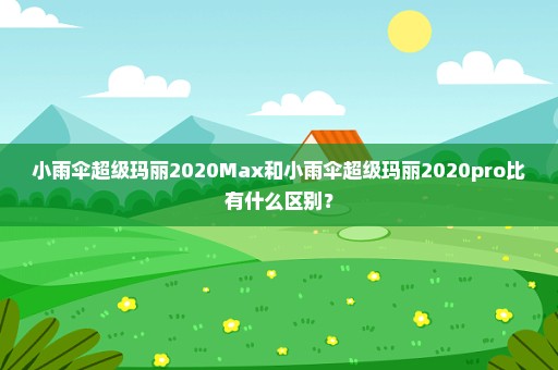 小雨伞超级玛丽2020Max和小雨伞超级玛丽2020pro比有什么区别？