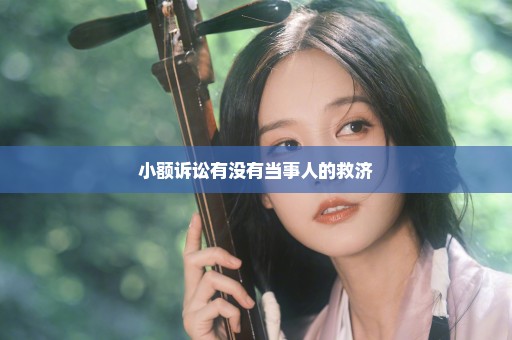 小额诉讼有没有当事人的救济