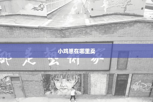 小鸡崽在哪里卖