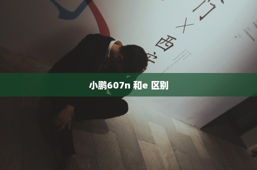 小鹏607n+和e+区别