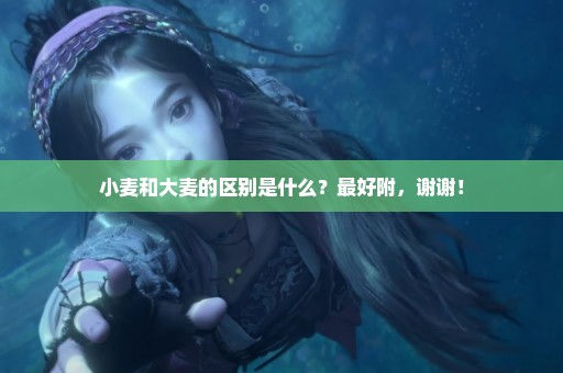小麦和大麦的区别是什么？最好附，谢谢！