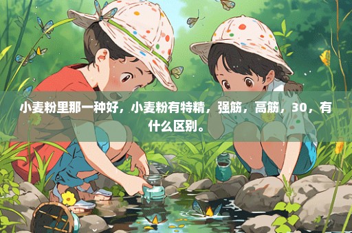 小麦粉里那一种好，小麦粉有特精，强筋，高筋，30，有什么区别。