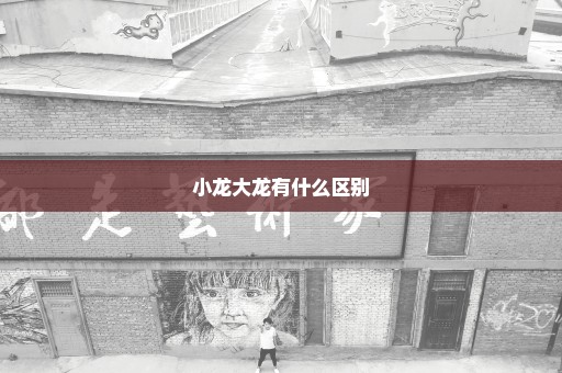 小龙大龙有什么区别