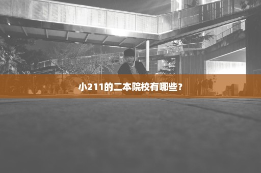 小211的二本院校有哪些？