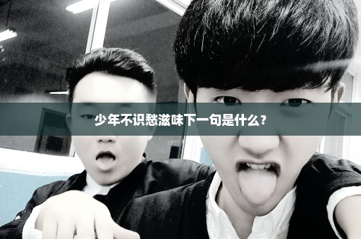 少年不识愁滋味下一句是什么？