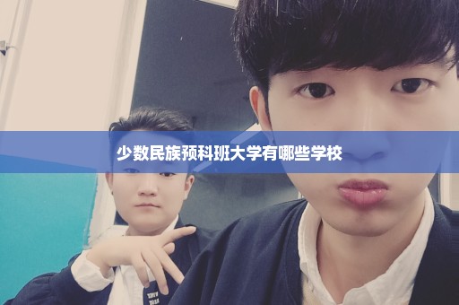 少数民族预科班大学有哪些学校