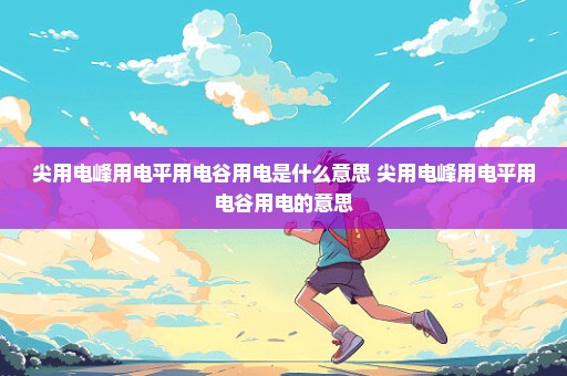 尖用电峰用电平用电谷用电是什么意思 尖用电峰用电平用电谷用电的意思