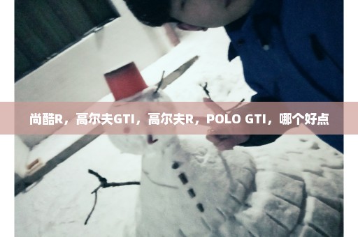 尚酷R，高尔夫GTI，高尔夫R，POLO GTI，哪个好点