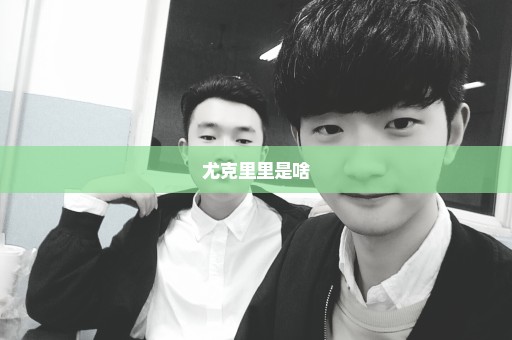 尤克里里是啥