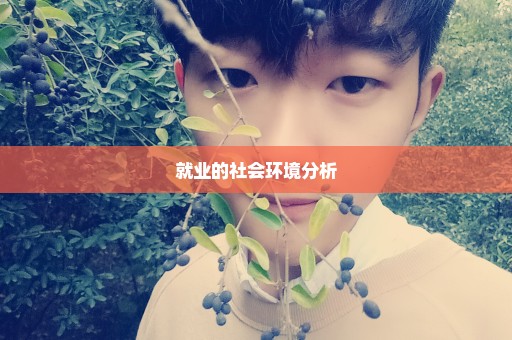 就业的社会环境分析