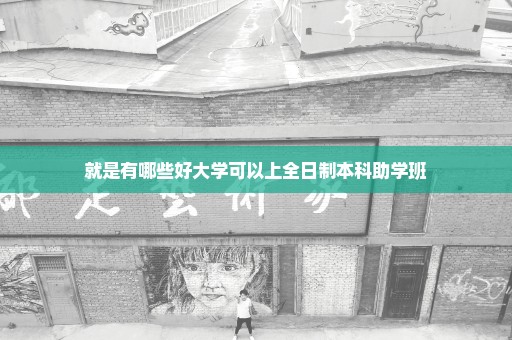 就是有哪些好大学可以上全日制本科助学班
