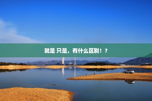 就是 只是，有什么区别！？