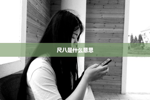 尺八是什么意思