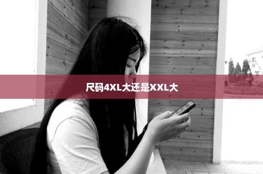 尺码4XL大还是XXL大