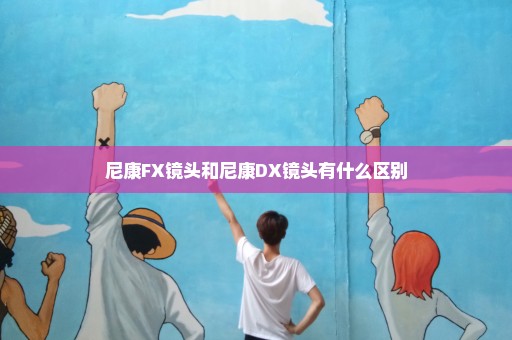 尼康FX镜头和尼康DX镜头有什么区别