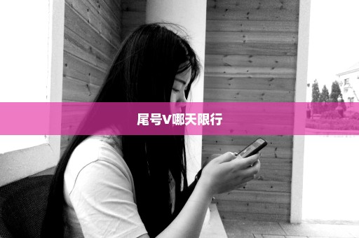 尾号V哪天限行