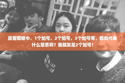 尿葡萄糖中，1个加号，2个加号，3个加号等，都能代表什么意思啊？我朋友是2个加号！
