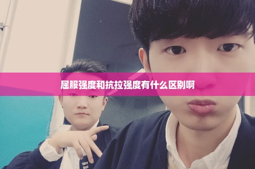 屈服强度和抗拉强度有什么区别啊