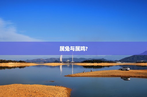 属兔与属鸡?
