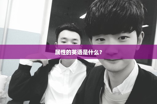 属性的英语是什么？