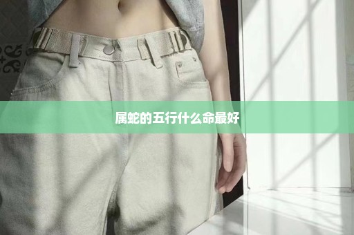 属蛇的五行什么命最好