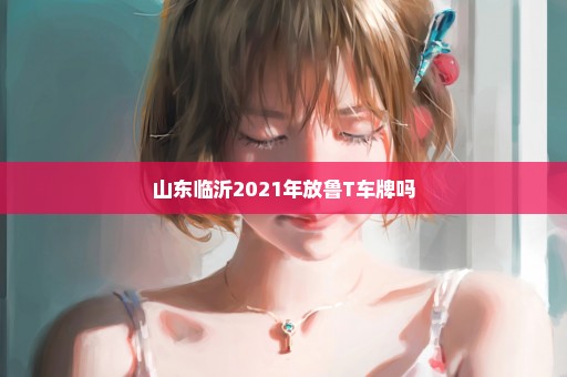 山东临沂2021年放鲁T车牌吗