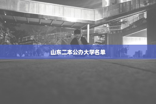 山东二本公办大学名单