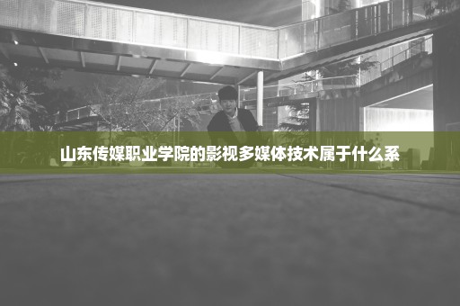 山东传媒职业学院的影视多媒体技术属于什么系
