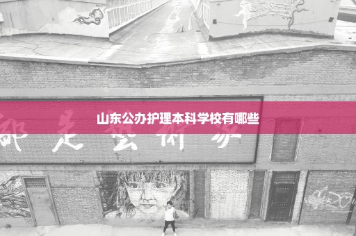山东公办护理本科学校有哪些
