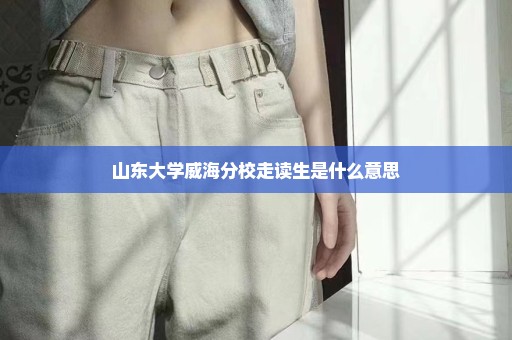山东大学威海分校走读生是什么意思