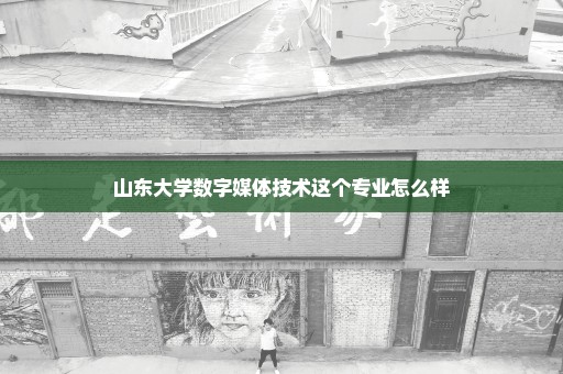 山东大学数字媒体技术这个专业怎么样