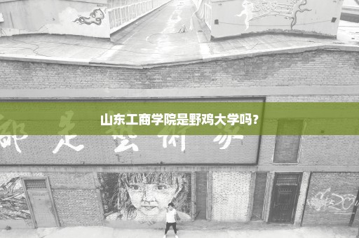 山东工商学院是野鸡大学吗？