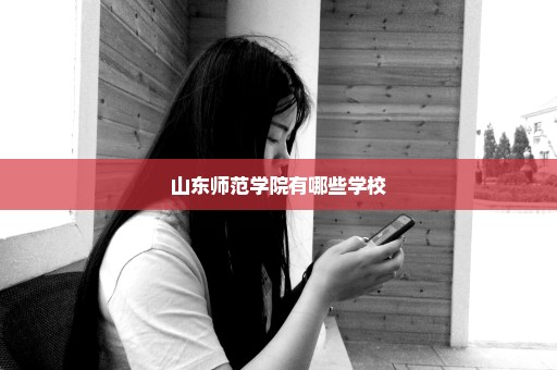山东师范学院有哪些学校