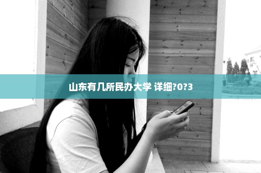 山东有几所民办大学 详细?0?3