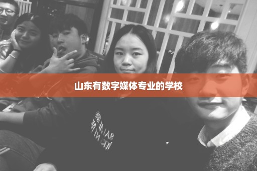 山东有数字媒体专业的学校