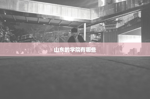 山东的学院有哪些