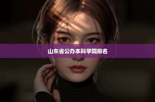 山东省公办本科学院排名