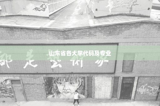 山东省各大学代码及专业