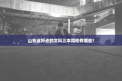 山东省好点的文科三本院校有哪些?