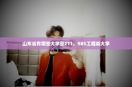 山东省有哪些大学是211，985工程类大学