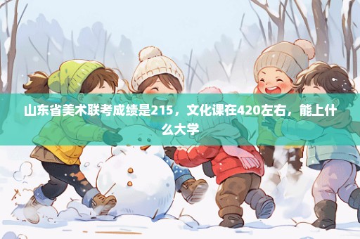 山东省美术联考成绩是215，文化课在420左右，能上什么大学