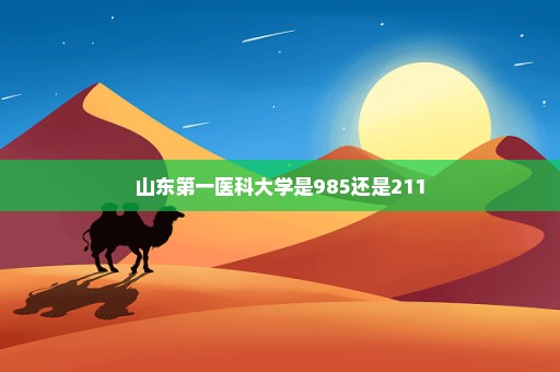 山东第一医科大学是985还是211