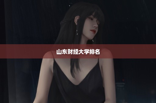 山东财经大学排名
