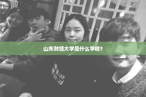 山东财经大学是什么学校？