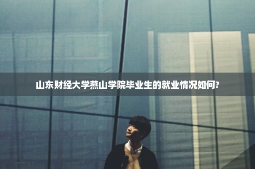 山东财经大学燕山学院毕业生的就业情况如何?