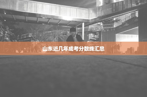 山东近几年成考分数线汇总