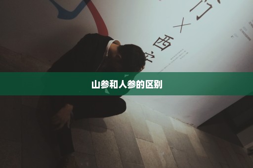 山参和人参的区别